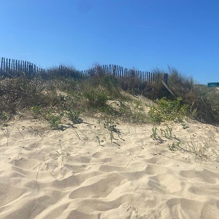 Vue Sur Dunes ! ซองกัตต์ ภายนอก รูปภาพ